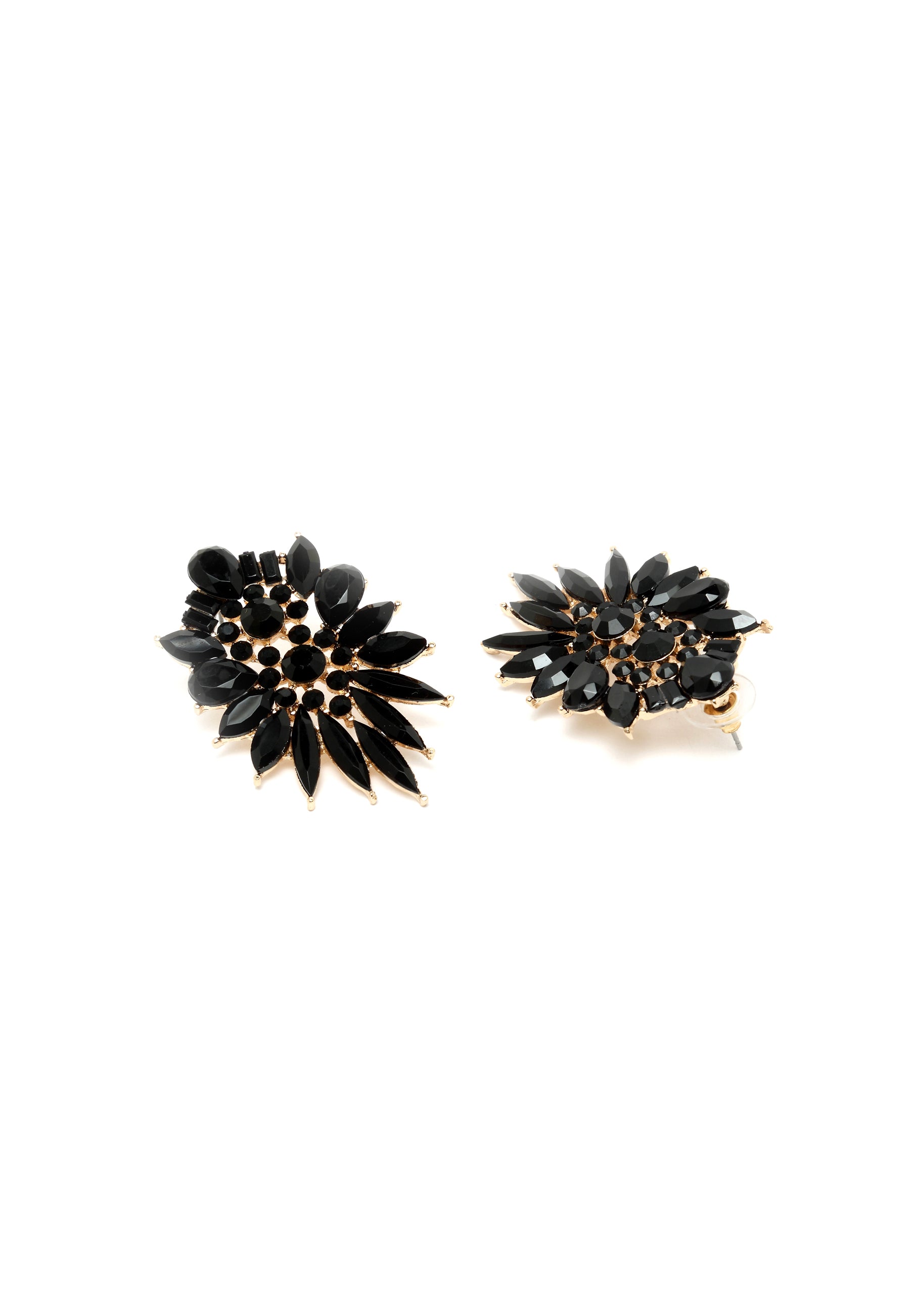 Exotic Crystal Studded Studs